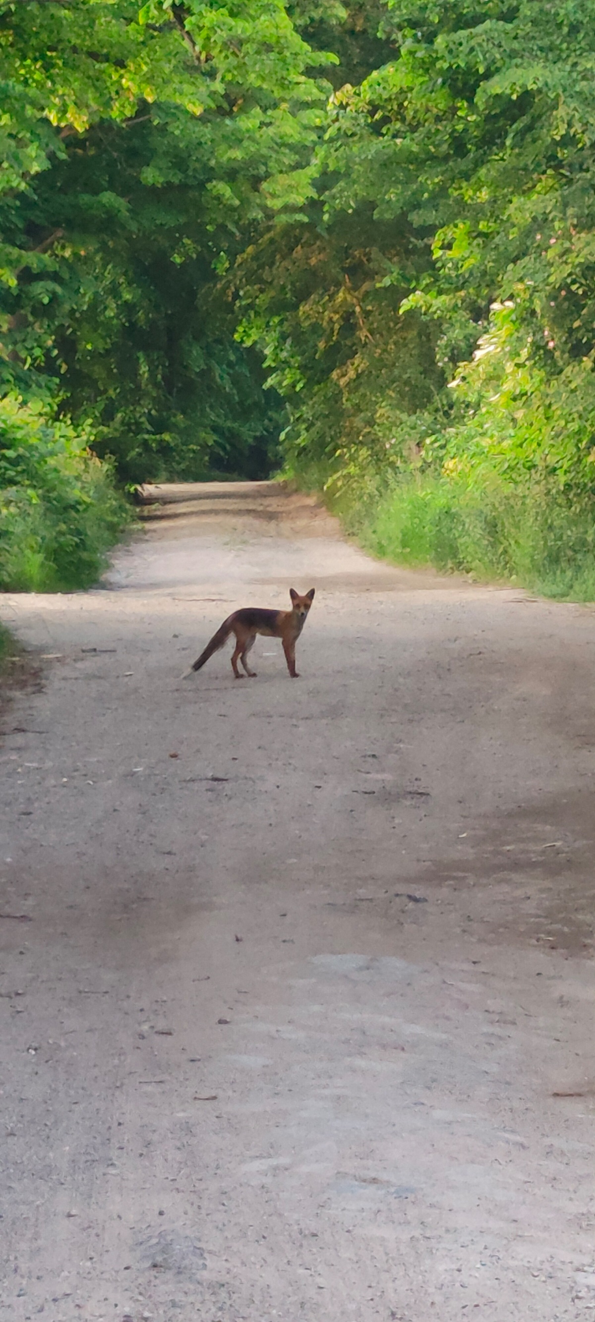 65f475ae-95ee-495f-9d31-c2c1e63a18c0