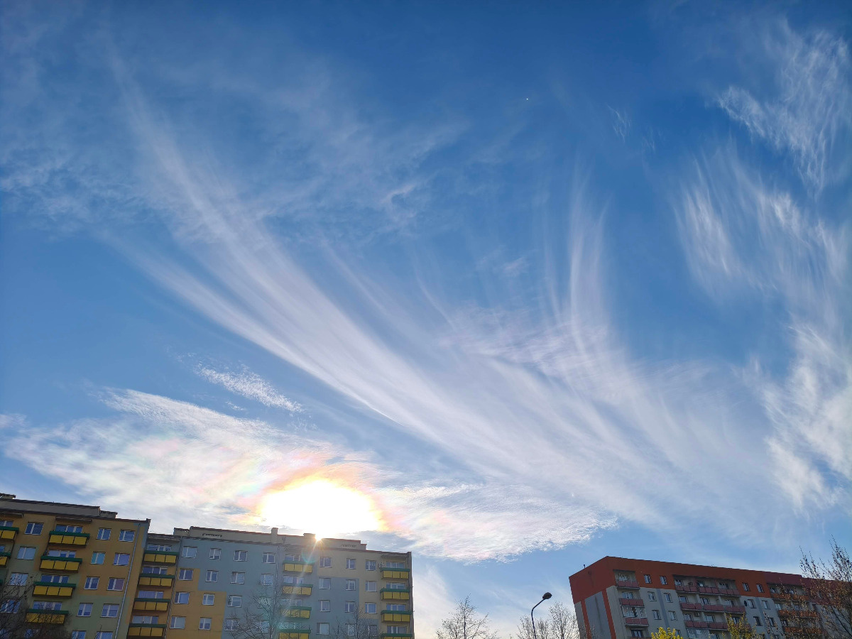 bf951629-b5b2-420b-8dc0-da29442828fb