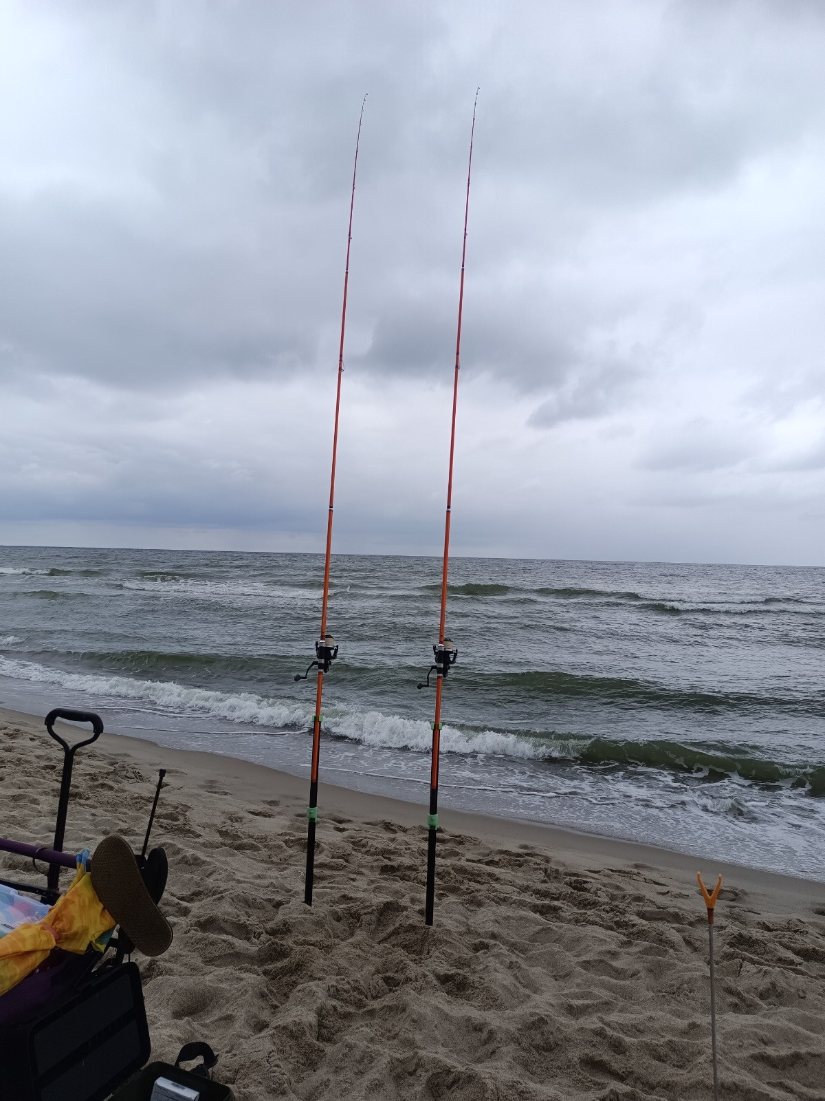 6dc1348d-6592-47f3-bb53-479adb7ea73d