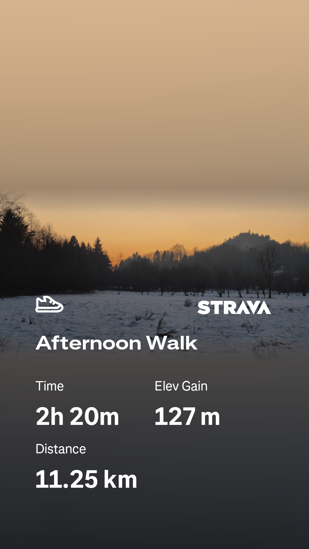 c5370d22-4e63-4fd1-910d-7a7ce67ff62b