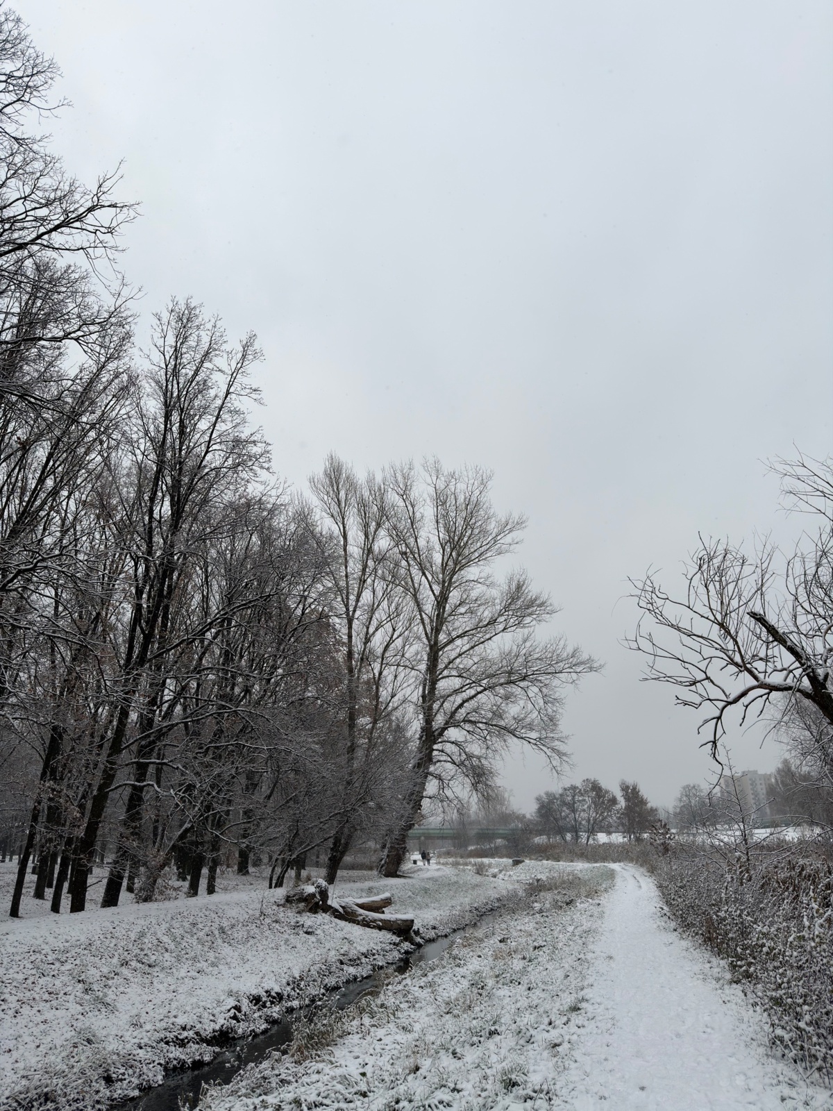 c19eab5e-8d8e-4c5b-ab01-048bcc7de276