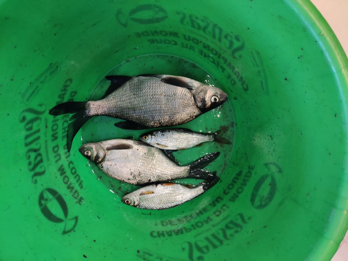 08ce8553-f189-409a-9c55-ac6004cb43c9