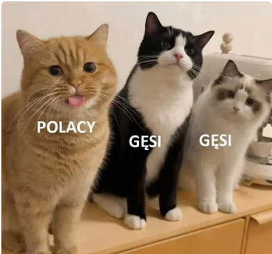 3f36c567-c476-41c6-9211-dc410aa9c268