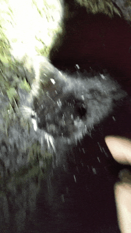 a571d415-5f05-42cf-90cc-30657343ecc7