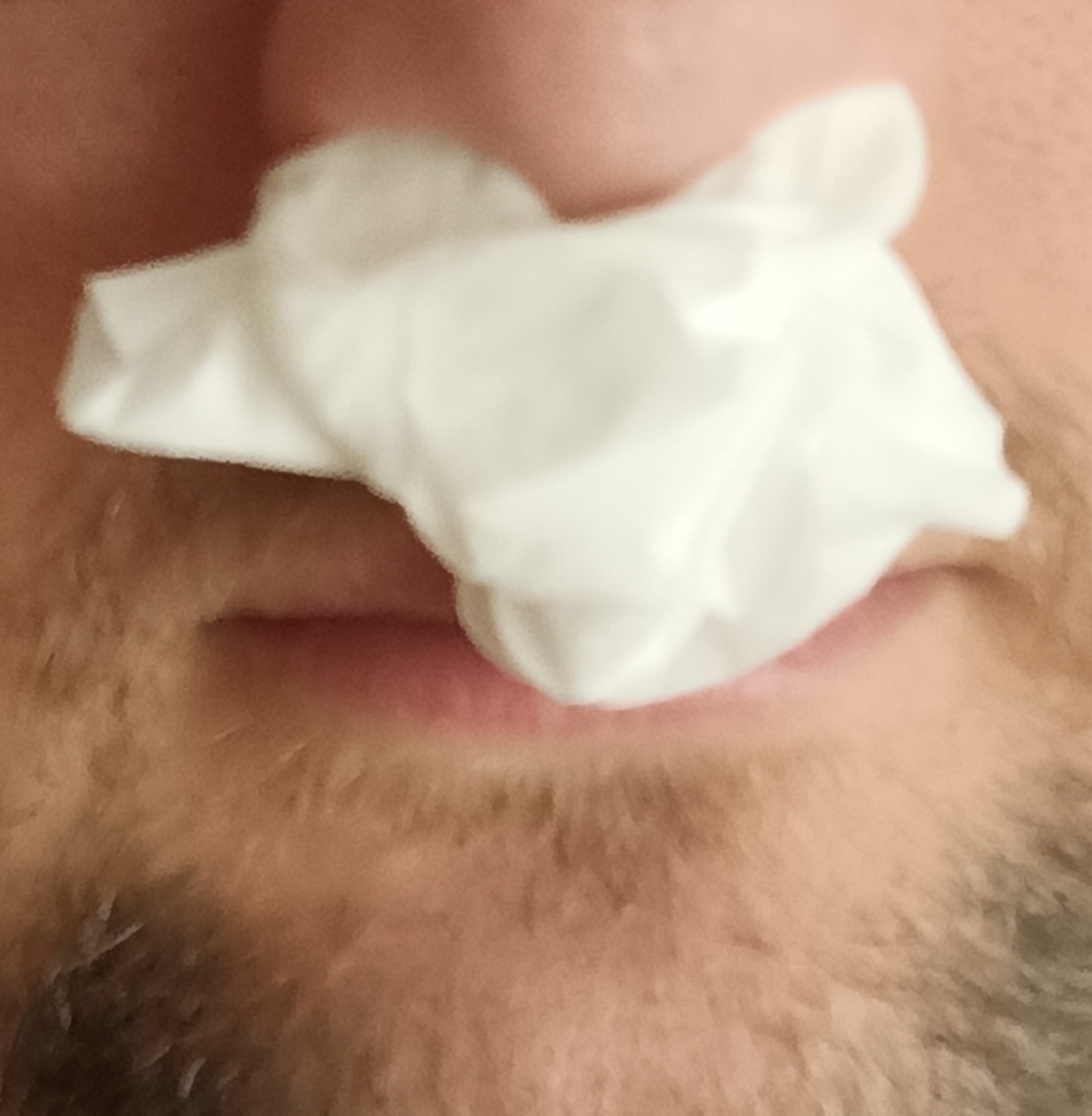 f12c6e11-36a5-467f-b923-0f6839dbd6a7