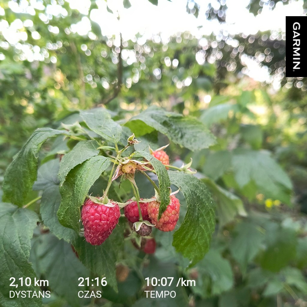 52fa276b-54e3-4447-9453-c3fcb632ae39