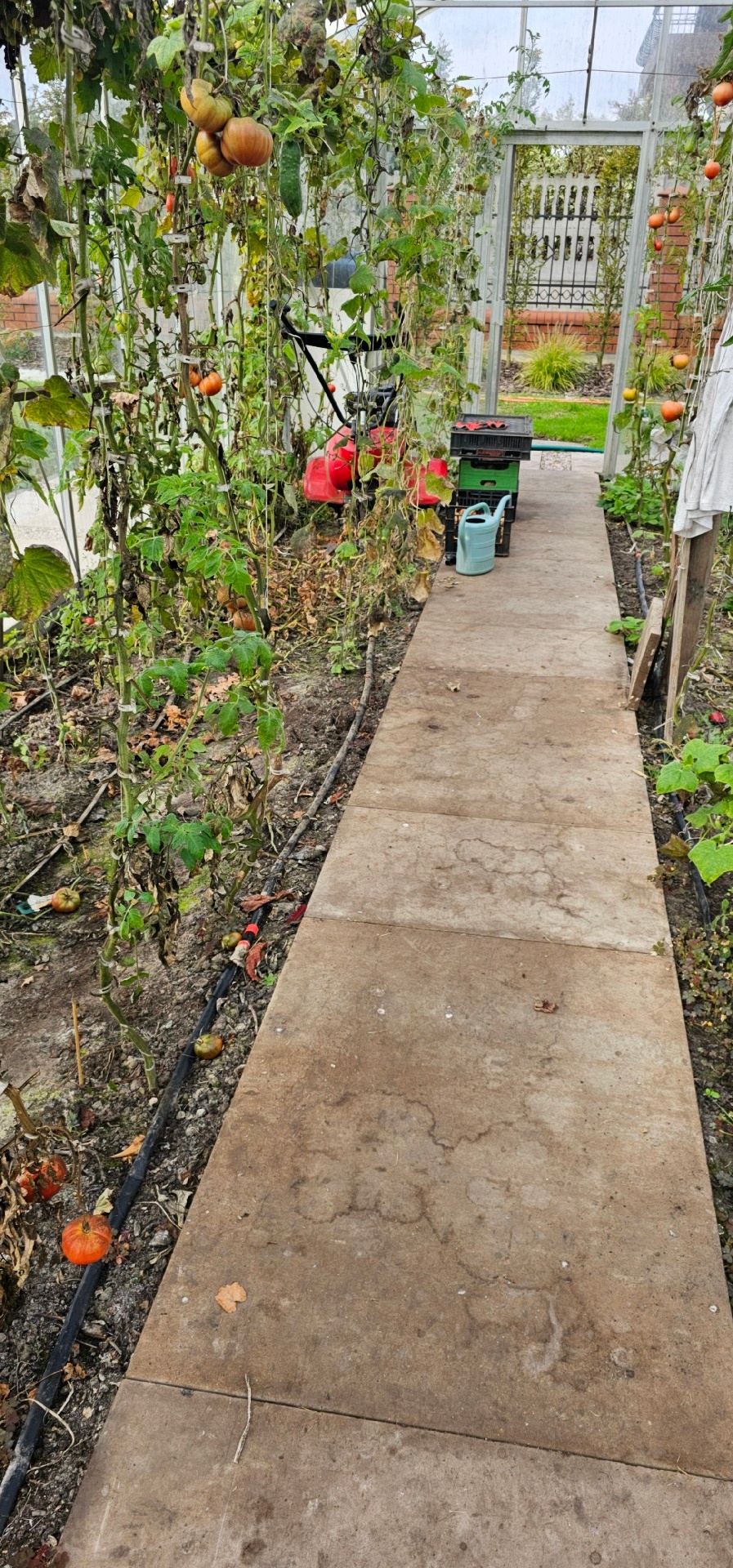 f594b61e-b025-4696-b535-9cf48e499a4b