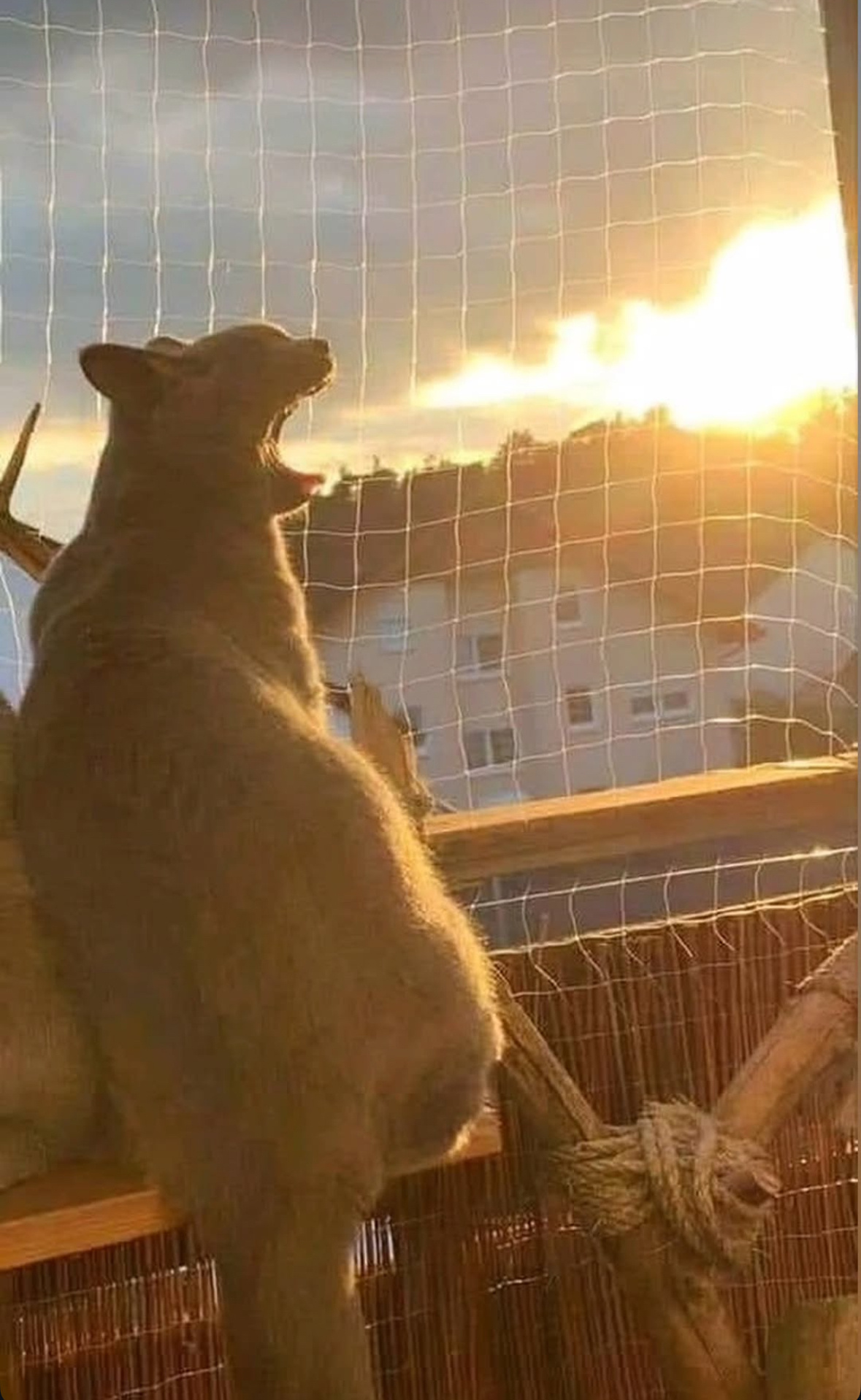 02b701e6-4e71-4a95-a248-cef9221d0aa7