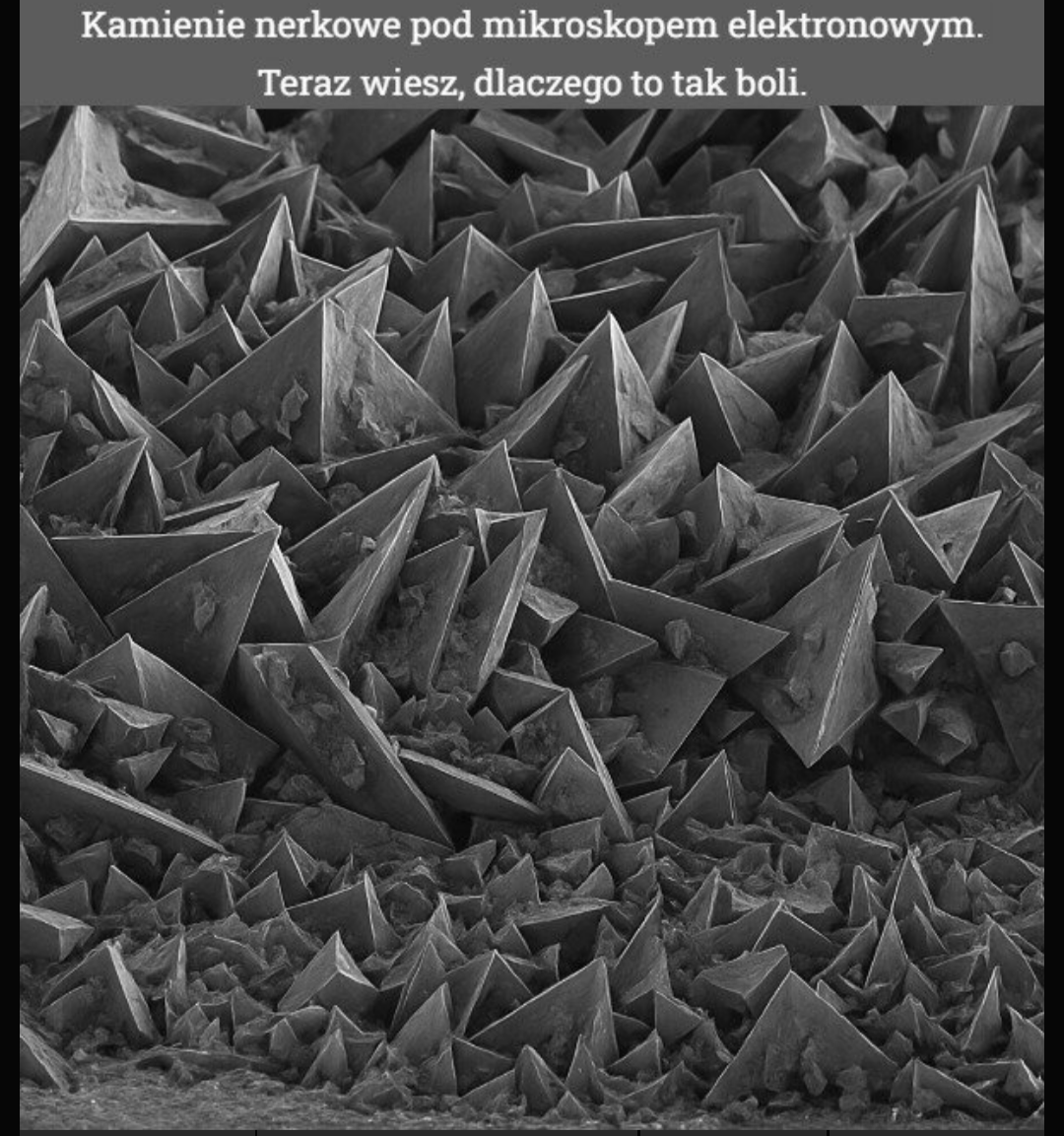 fb176049-e9ad-47b6-bb8d-d21afa7d2154