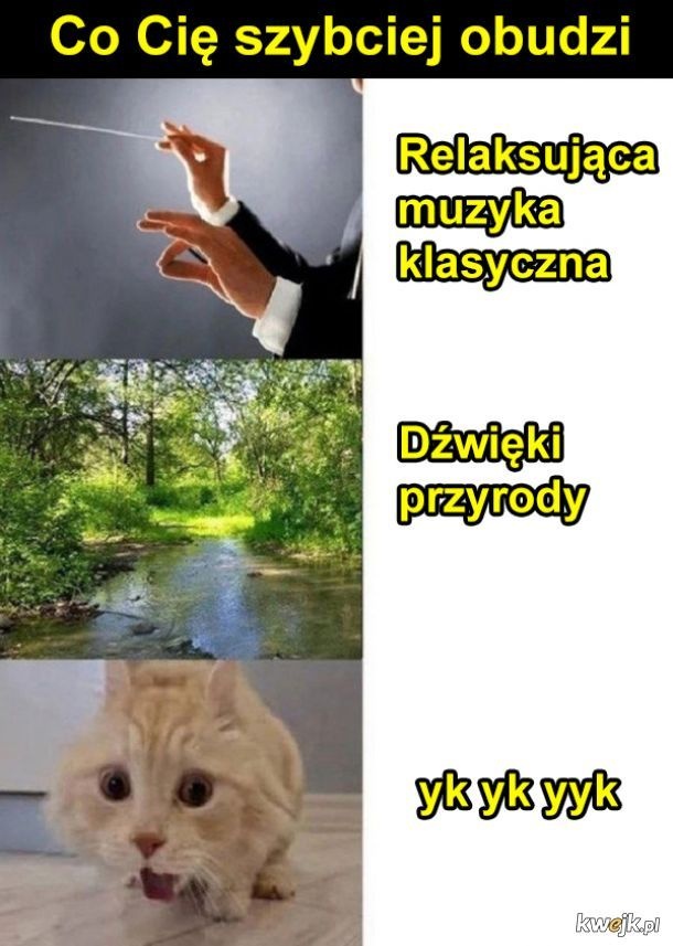 3fbc318c-dbc1-4187-870e-59f0432ec281