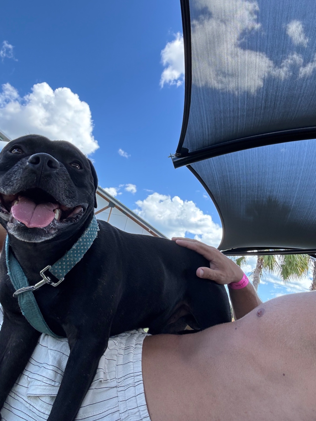 7b16a4ce-643b-4c1d-861a-b7ac7d24c5d9