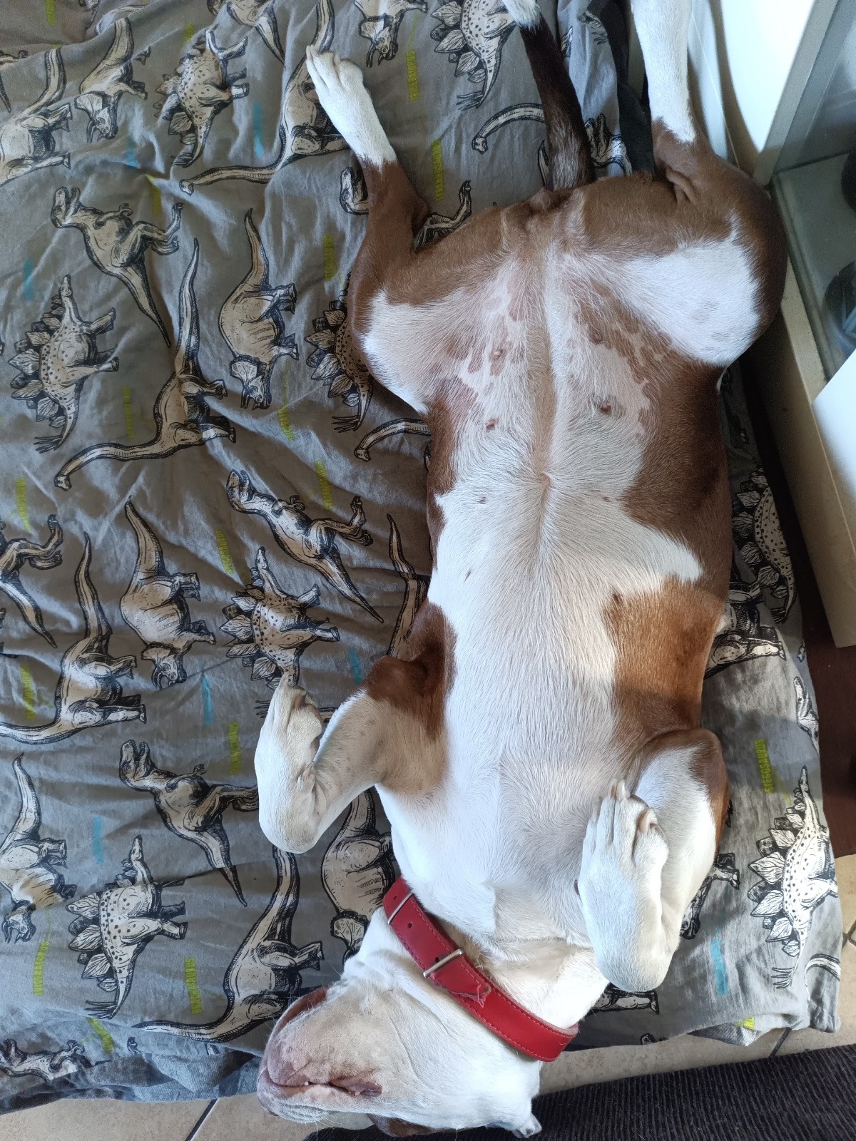 ddd8687e-8429-41ba-9b3b-b2d086a79734