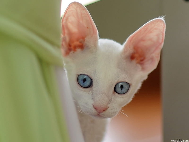 3ffcf93a-896a-41fd-9e80-25b5b9877ab5