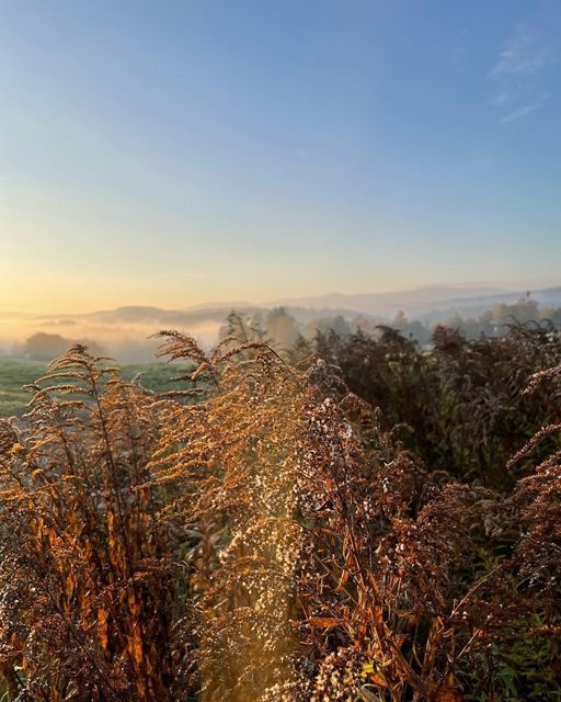 1cb56b8a-f66b-47ad-b025-b52dd45b476c