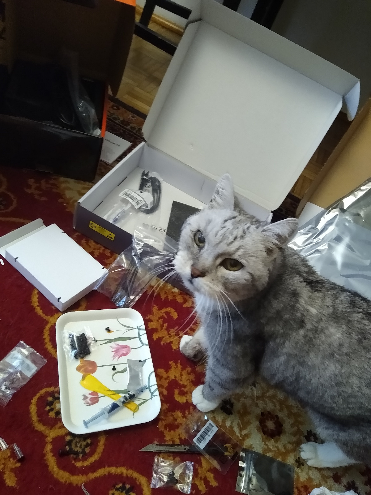 2d941026-a140-4859-8f35-86387ed46dbb