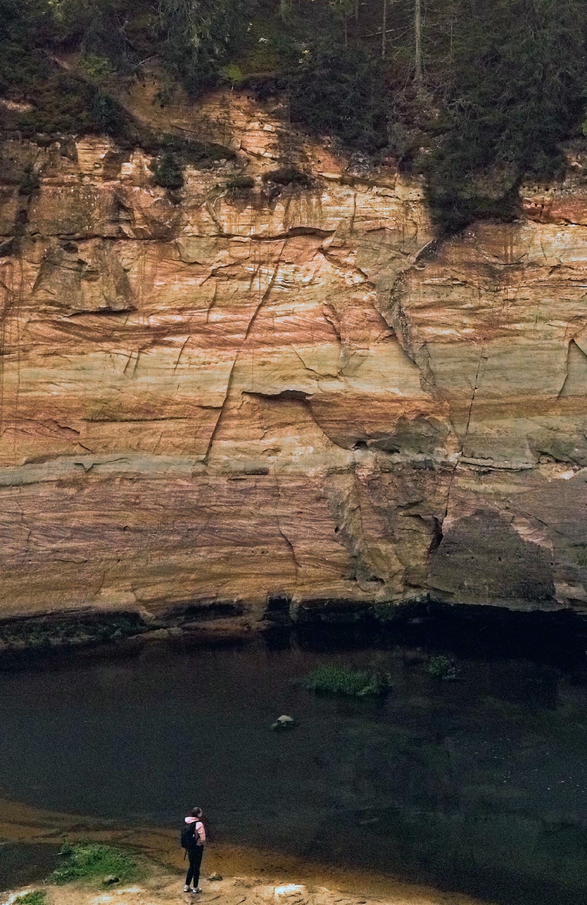 48e3dfc2-4493-4111-94b9-0eb26a03fbcd