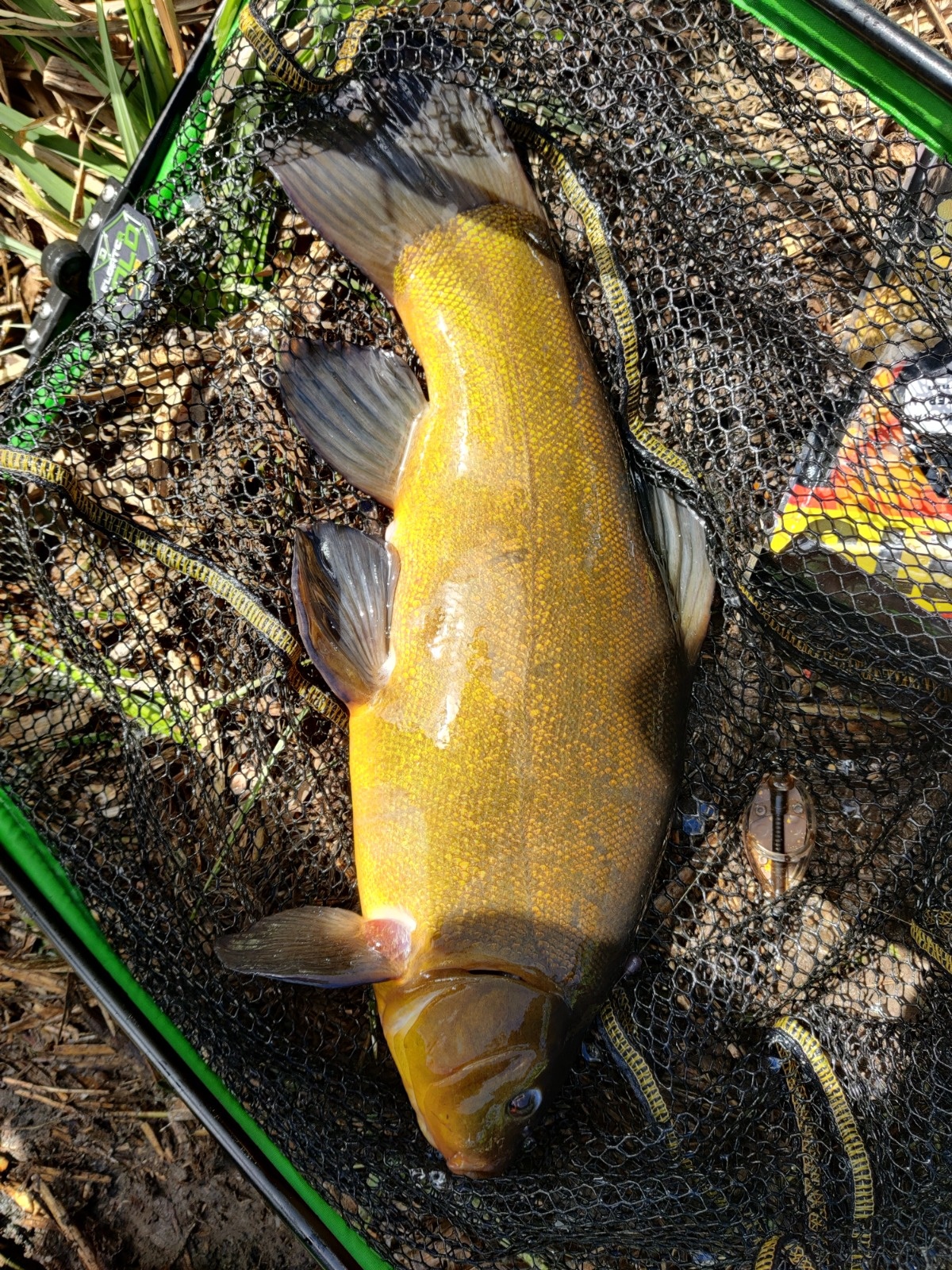 9096bedc-4946-4c5f-a2e5-fb8f8e483ad9