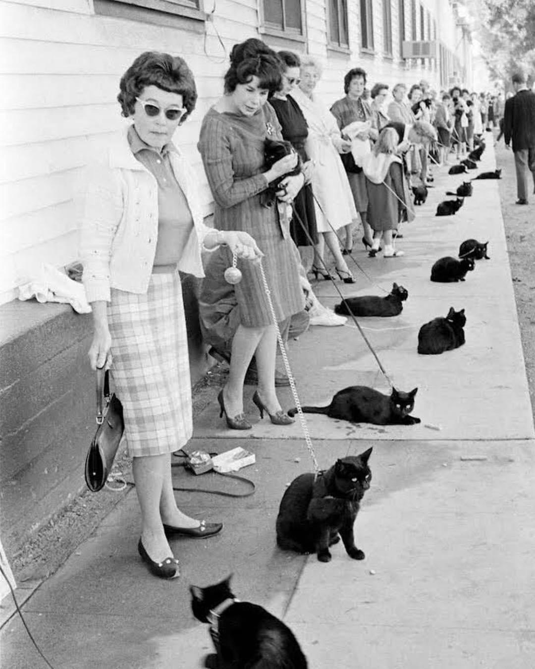 d00f0297-853f-4065-a28c-989334d80be8