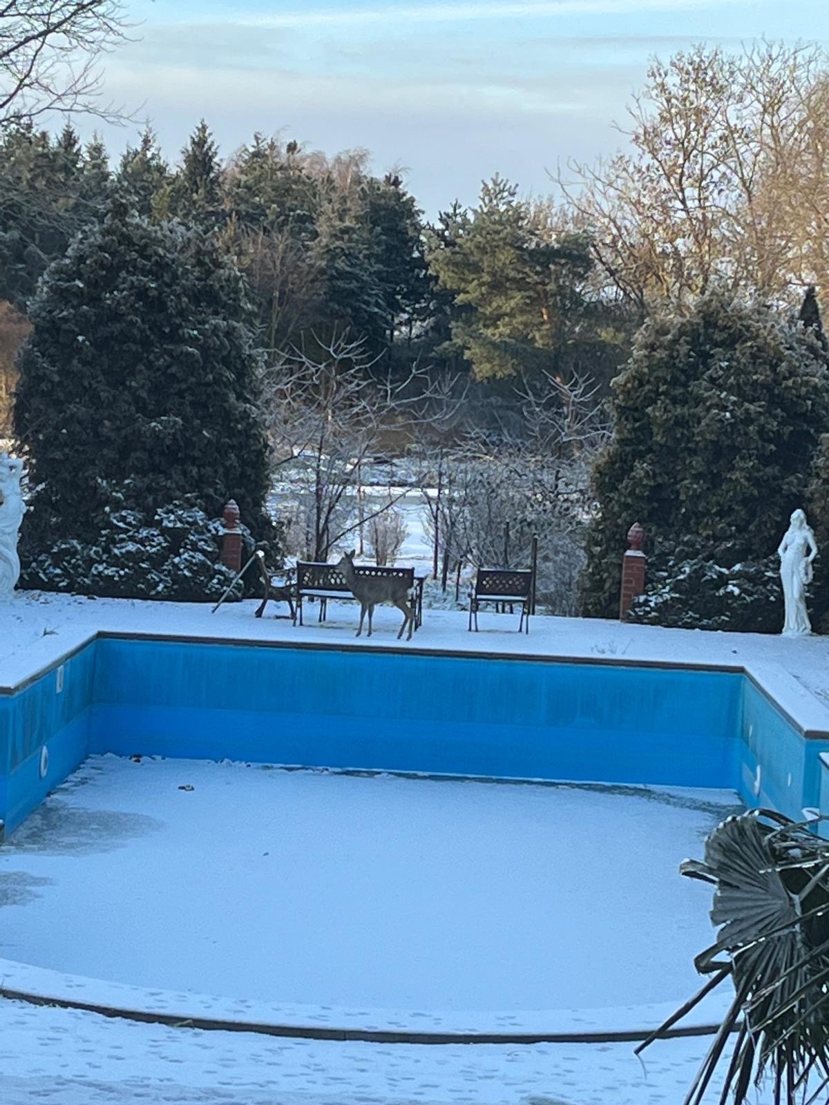 044c59f1-7848-4267-af45-44b61027ab5f