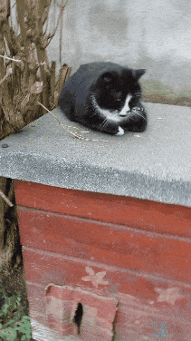 a7e7a1dd-7459-4db7-a658-da346b15169c