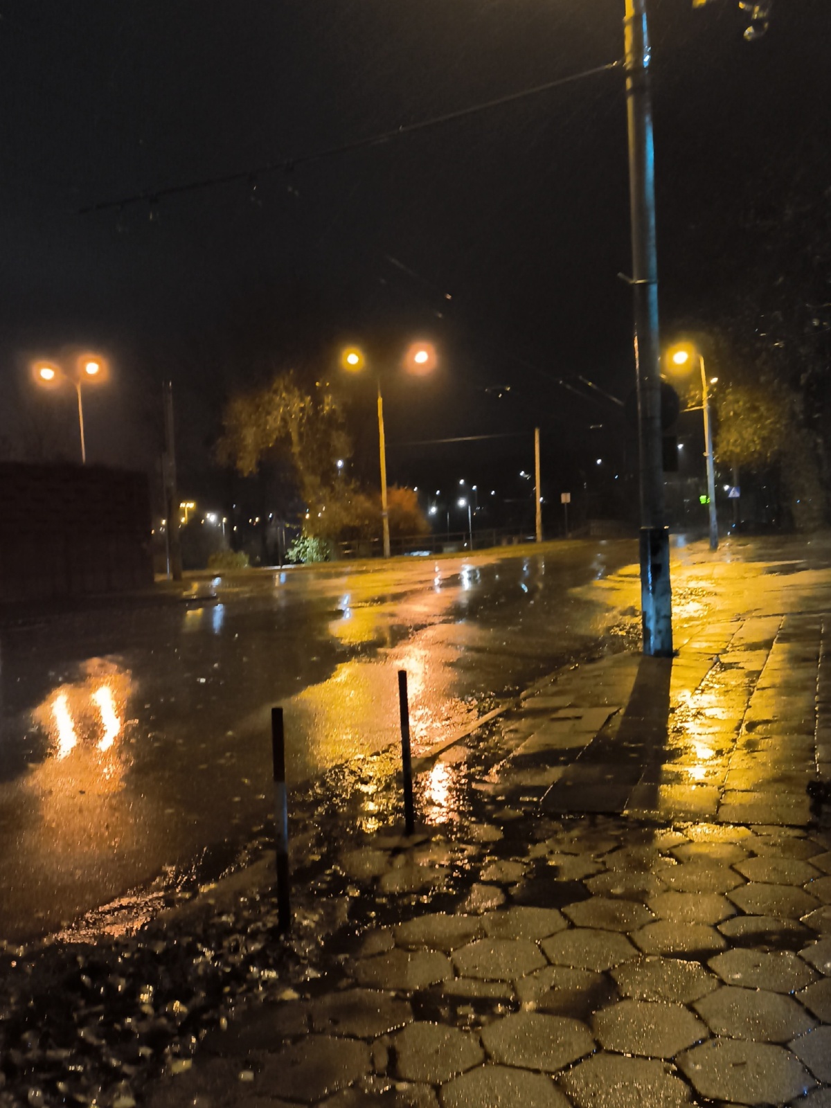 87995e66-be31-4aaf-8cf1-878134571090