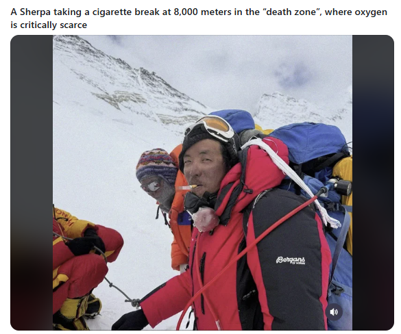 305501ab-855a-4e8d-b15b-fced571c9159