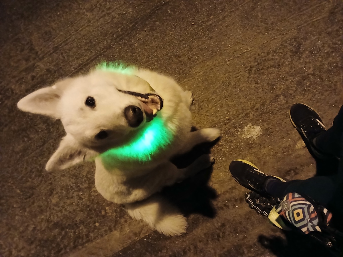 a654dd31-ebc3-4426-9eac-a6c32638996b