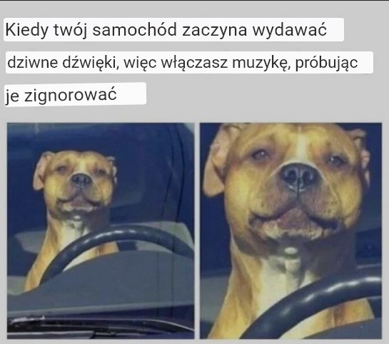 dd711c31-bed2-40f4-8ec1-311e26467b60