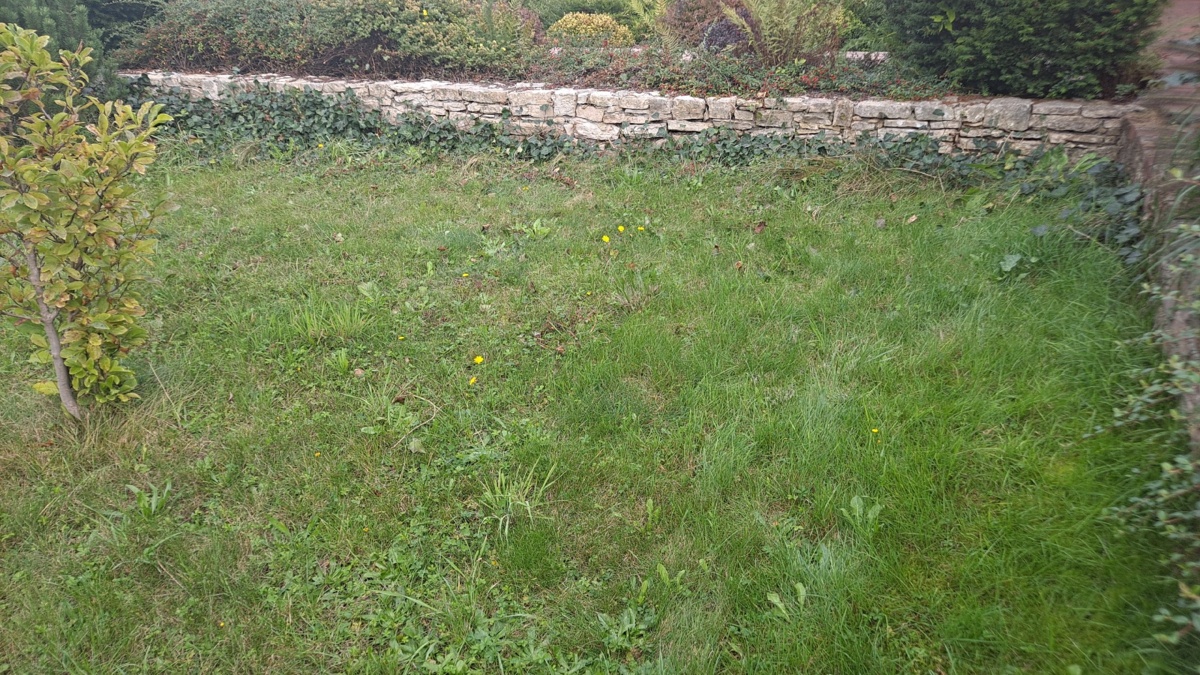 54f423db-e2b2-4198-b612-80c213839758