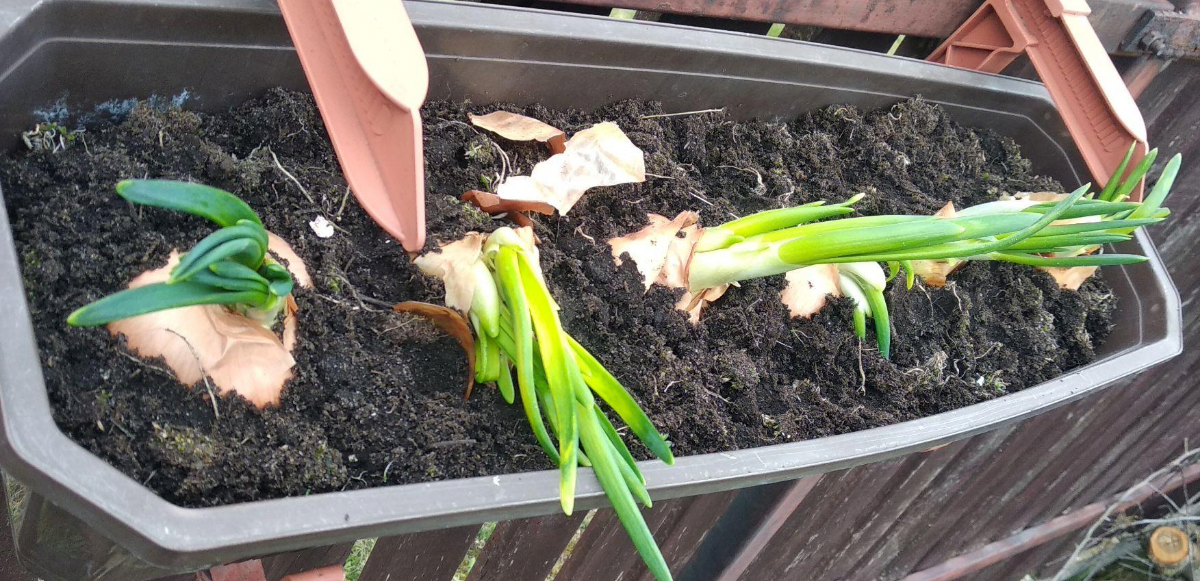 0a9bb1b9-6655-4c4d-873b-7d2b05881898