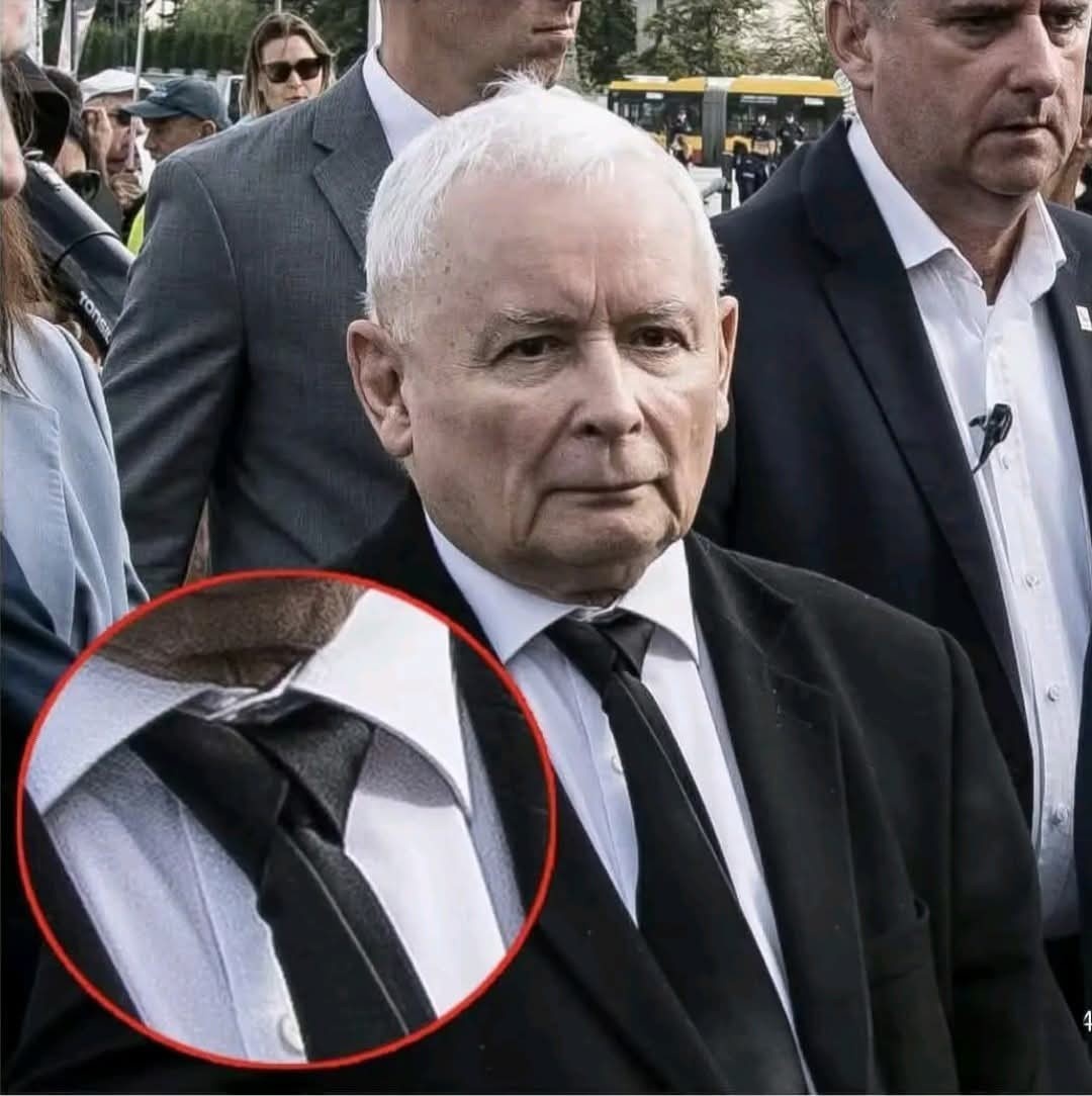 8d8e3a32-4e99-4eda-ae56-06765fdacec8