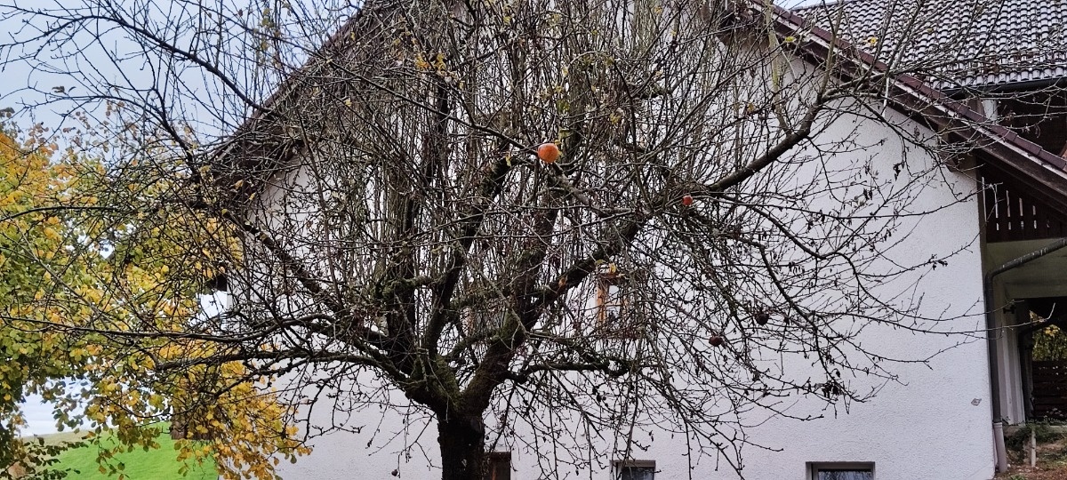 e0559079-1d15-4380-a0fb-41fccda61582