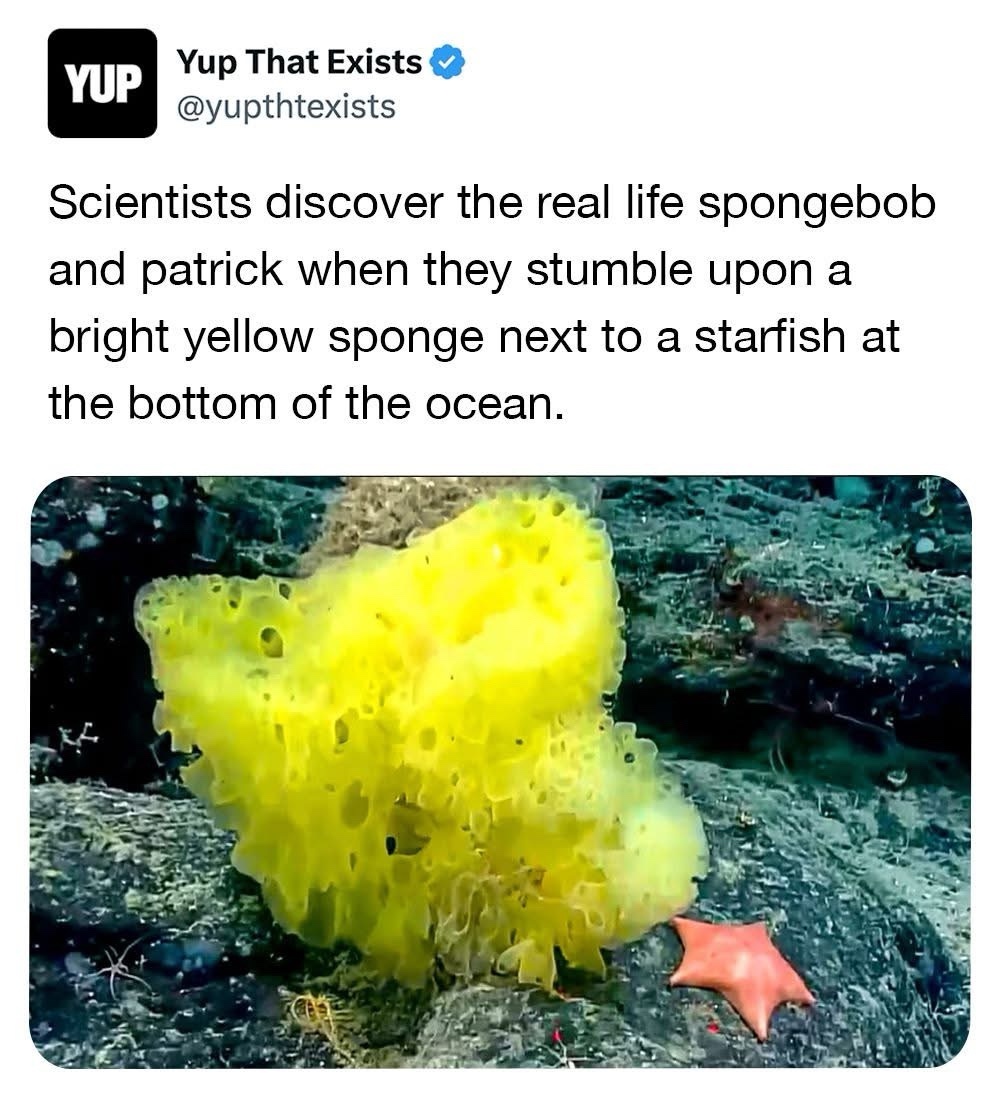 b2437d79-35e1-4289-b2f7-e636f1b13891