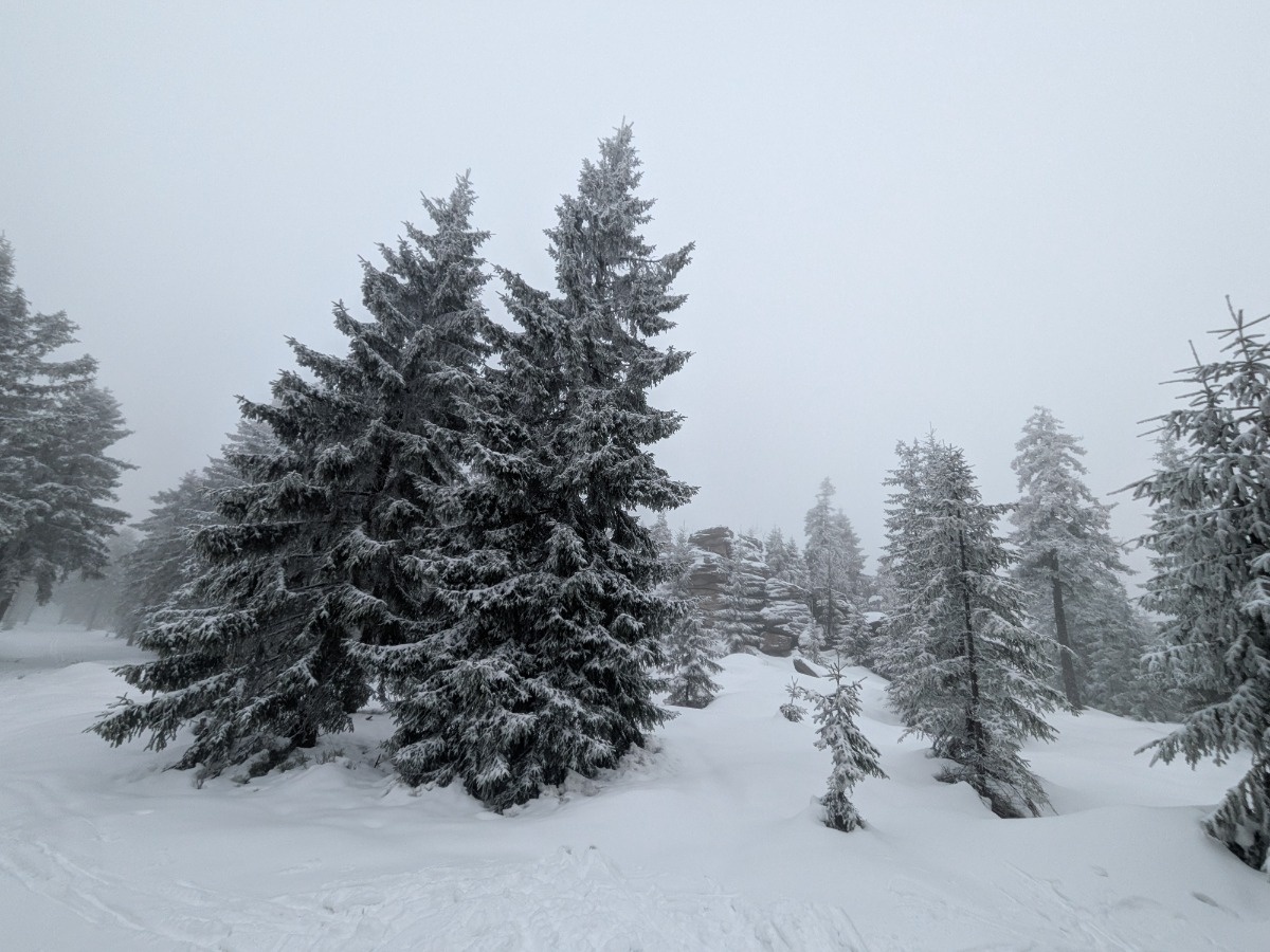 e91549d5-6e73-40af-94e0-a2845ef0f37a