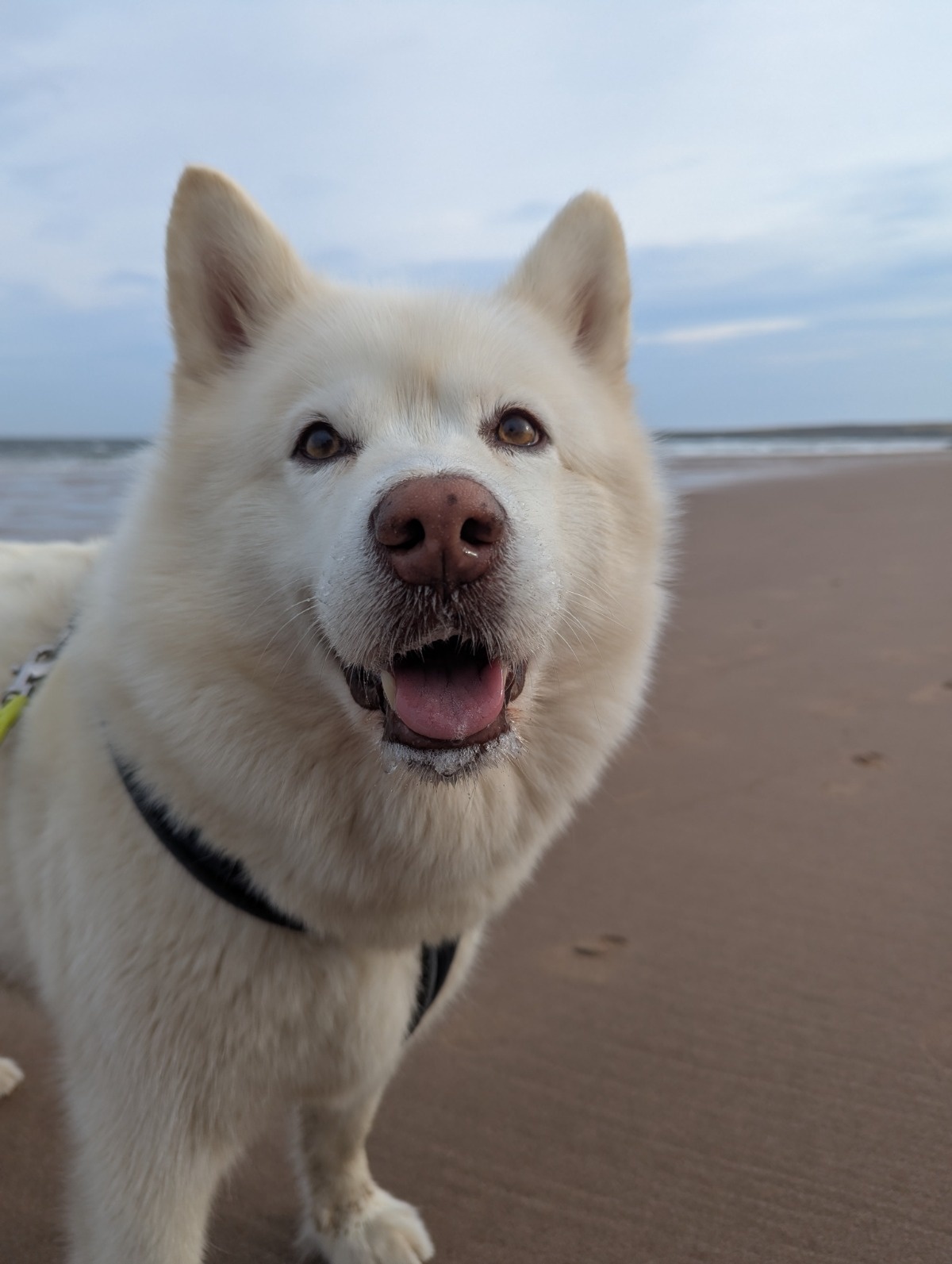 d3e3c3da-f4dc-4a5d-8b67-a80db5cea419