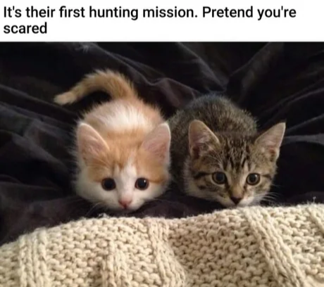 13f2cc5d-e2bf-4087-a7fe-21b6dbc9e61b