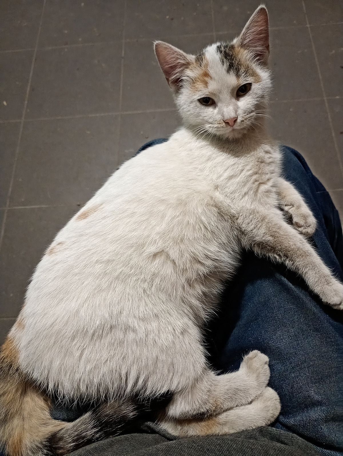 f8deb77d-f1ce-4c97-8f15-b754b12921d5