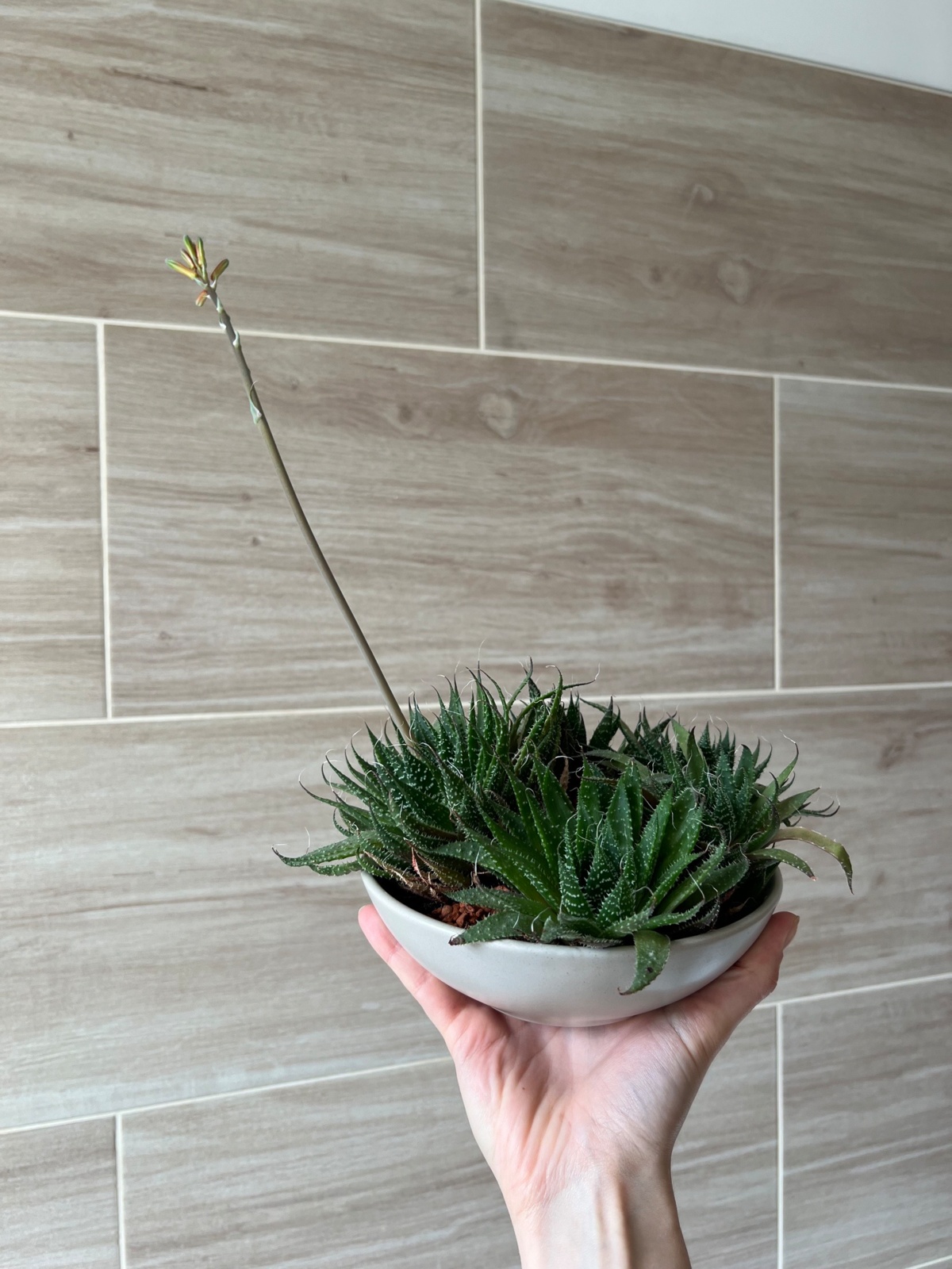 5b7de73b-8d66-455f-a435-4c25ae217094