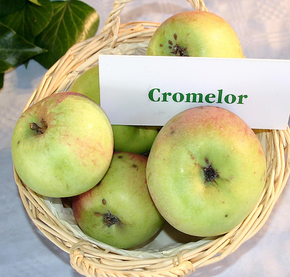 66caac68-e0d2-4dfc-9cec-e2df72b91eb5