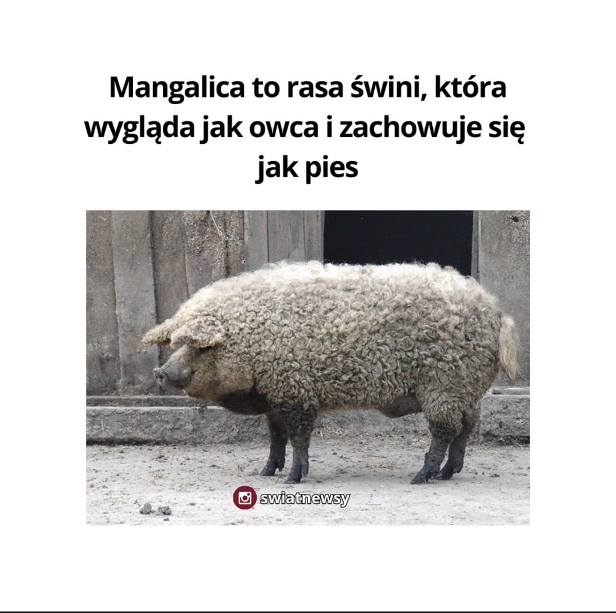 dfe5b88d-15b2-42fe-bde9-eb676ee2d98c