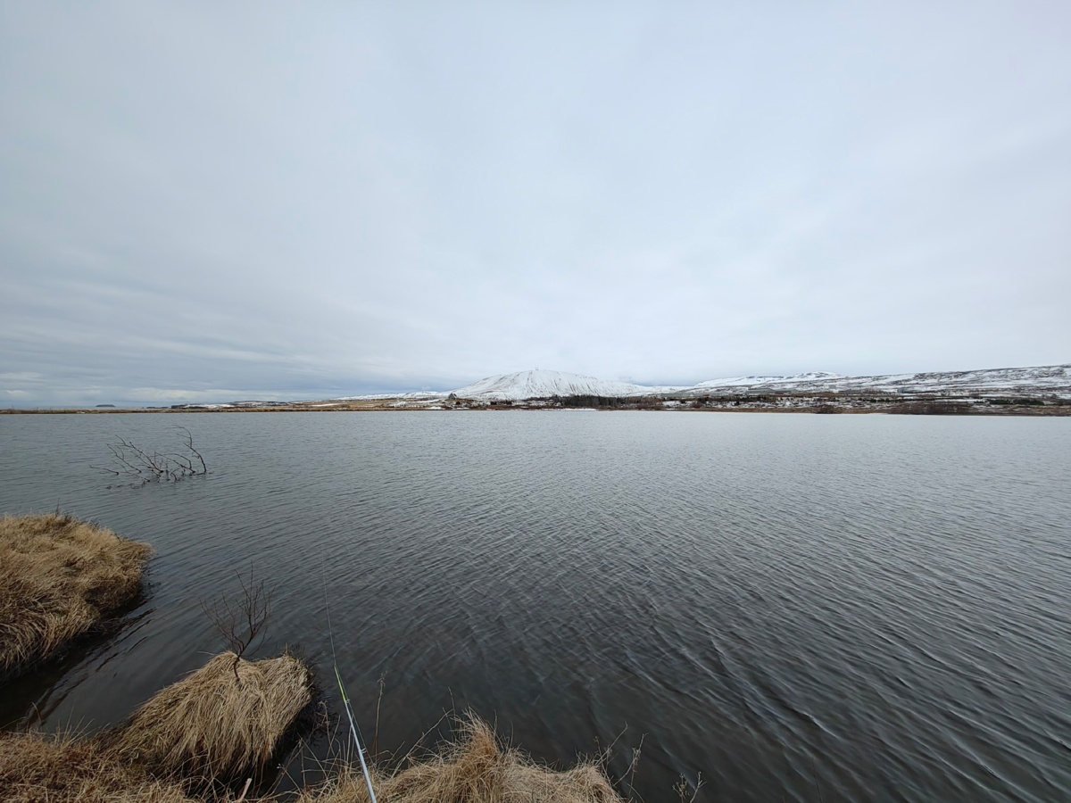 e7f2006e-68c4-49c4-873e-004c525c6739