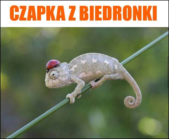 985efb72-19e4-4d4c-922c-00512bec3b0d