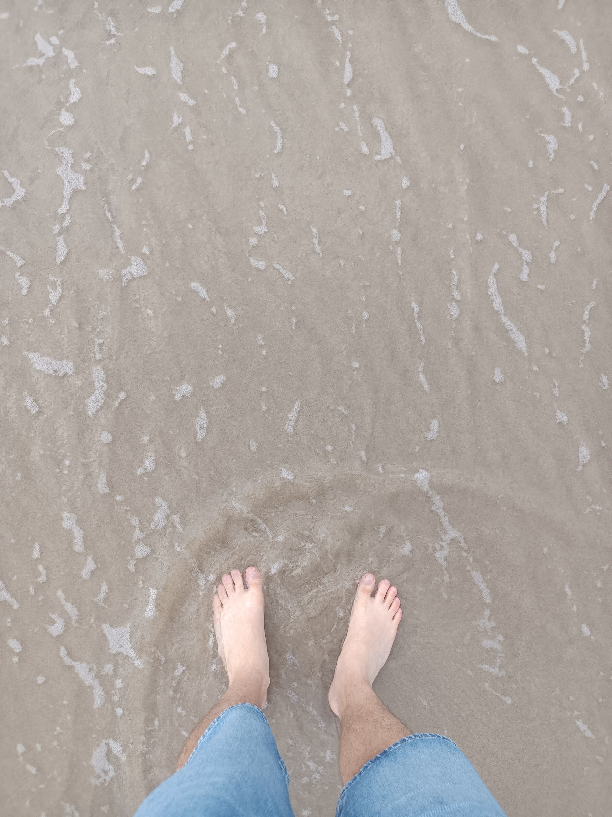 4acd435c-7e5a-4b0d-98ad-3aa3faea473a