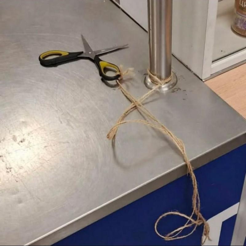 8f003153-598e-4bdc-89dd-8d7651232262