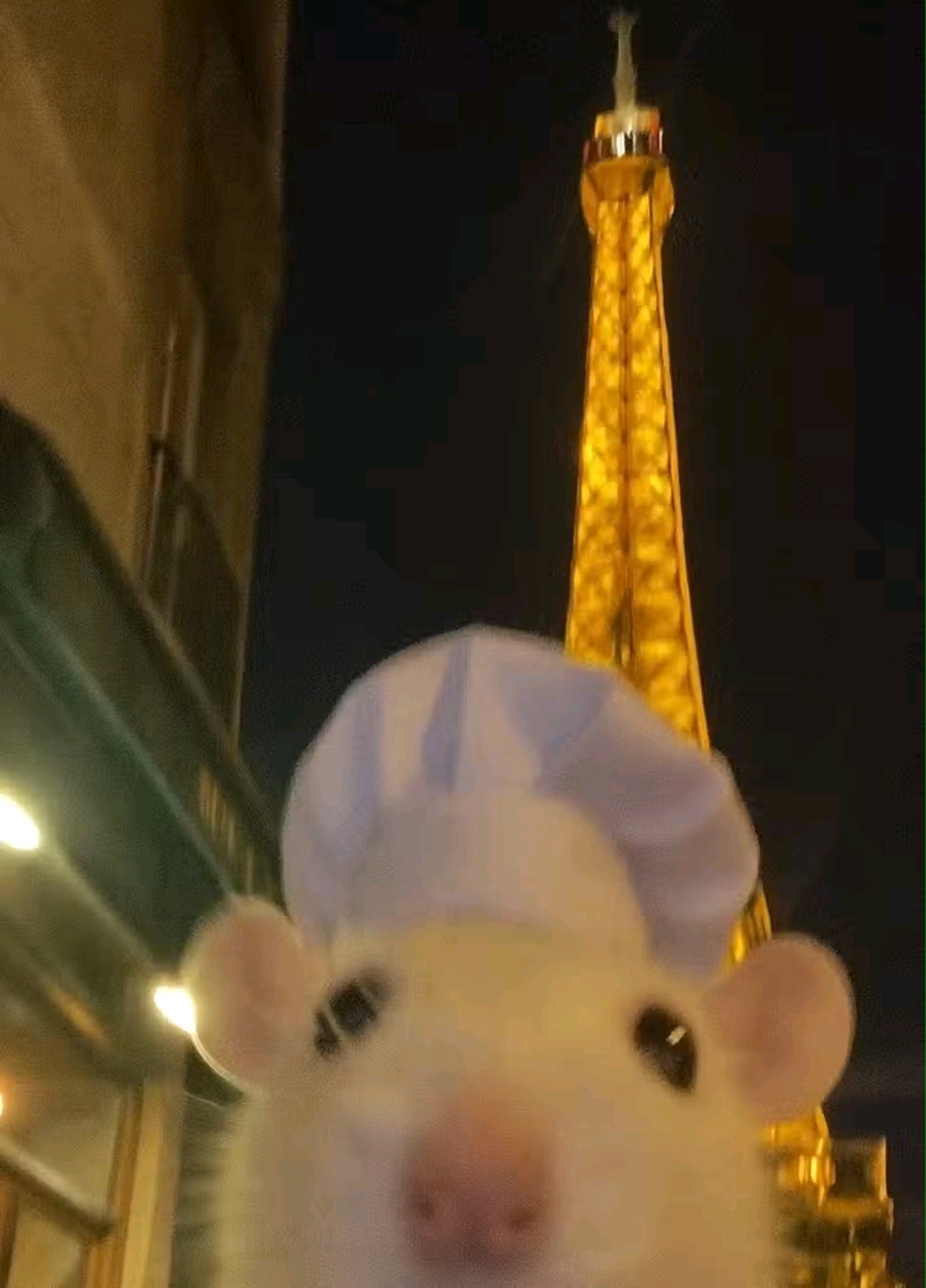 1fd3301c-035e-47c9-b05e-f7441baae683