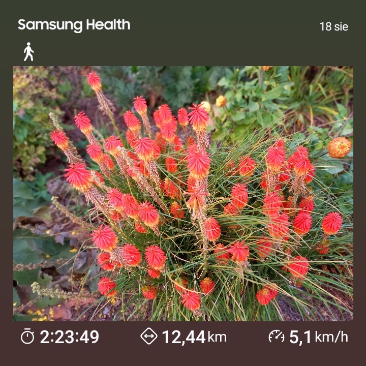 1487e5e4-fdb7-485f-8b7b-3b040d4f6c7d