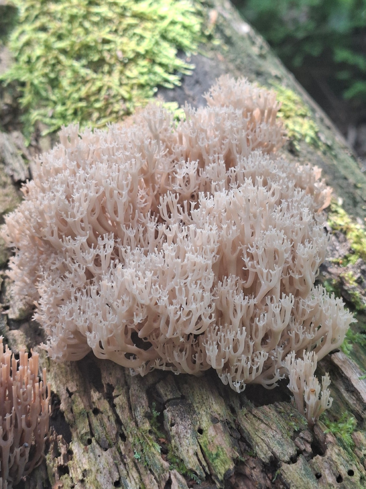 8c1a2248-5660-4594-8ca5-740b0b85abd0