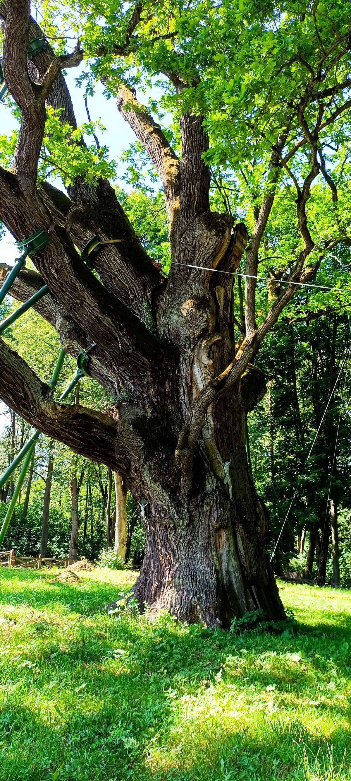 0d5b1707-86fa-4353-98a3-70e8415c2f75