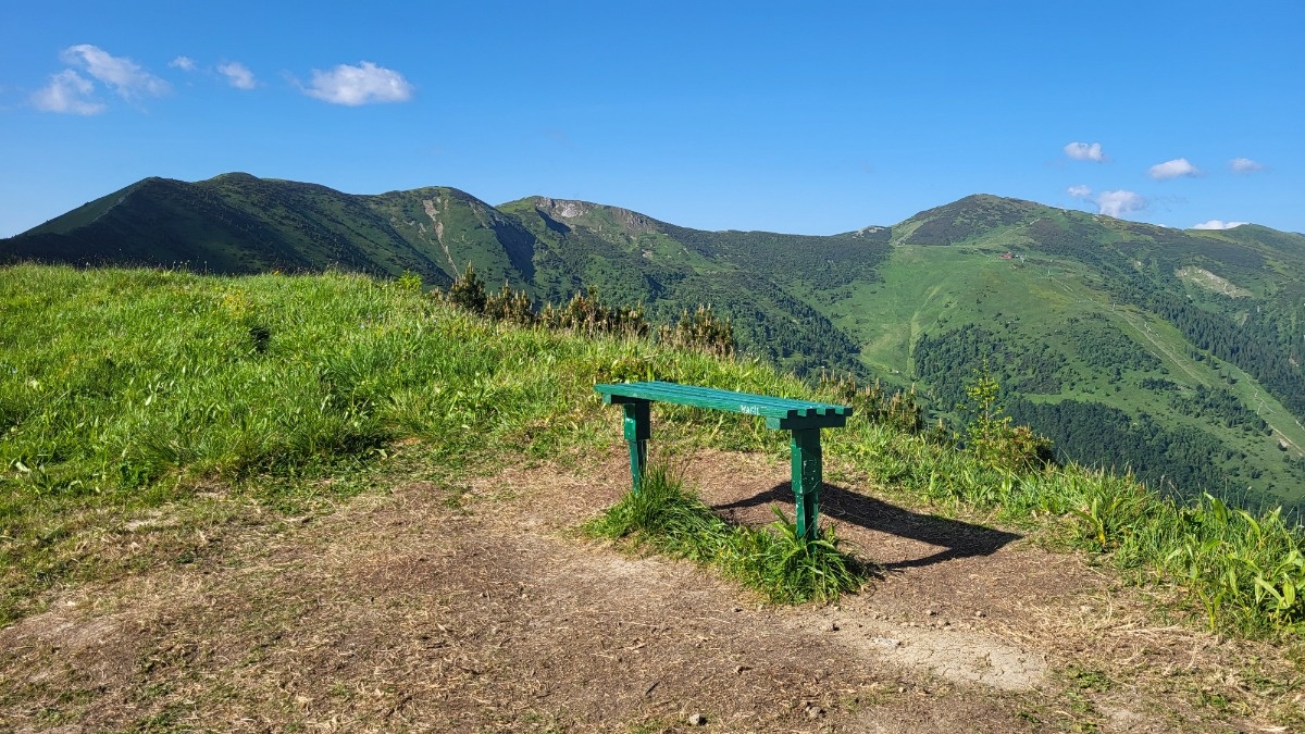 88c9e77c-de8f-4d3b-b474-12b4cdfe6eb5