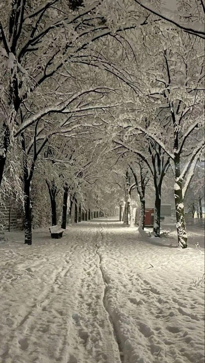 c5399ee5-071d-4aab-9d0f-f9f1cbb3bd2e